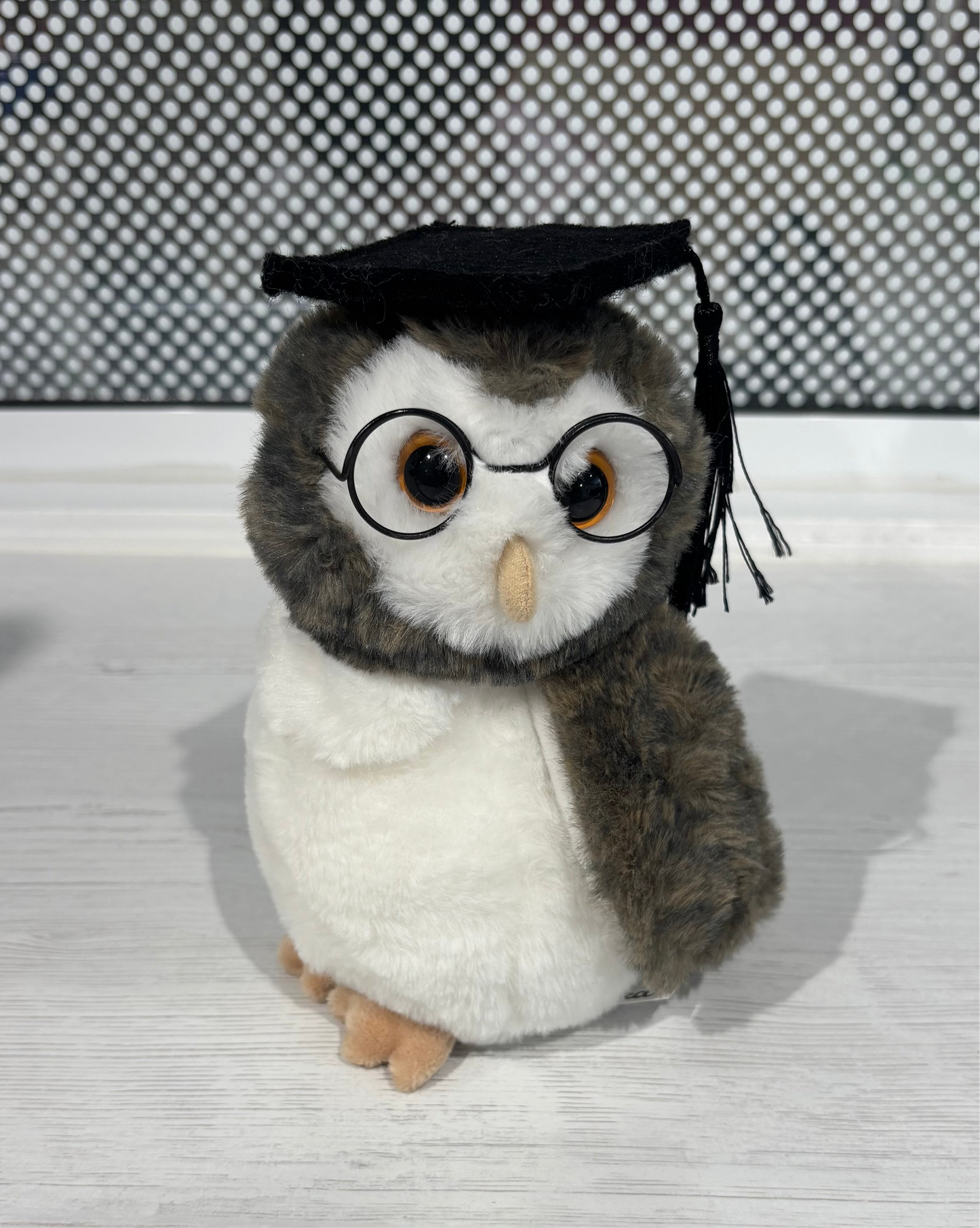 Hoot Graduation Owl