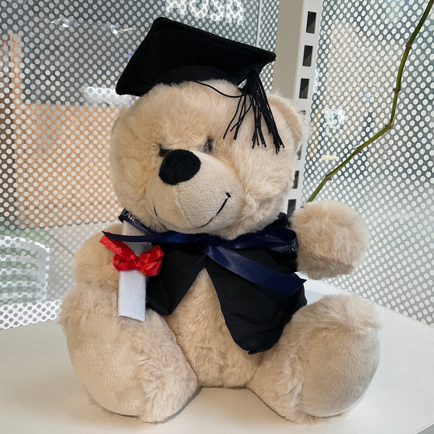 Benny Graduation Bear