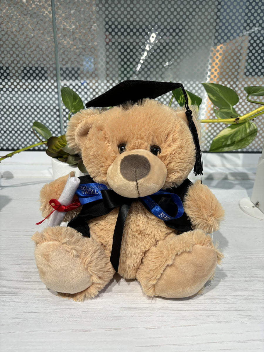 Asher Graduation Bear