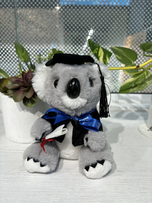 Finn Graduation Koala