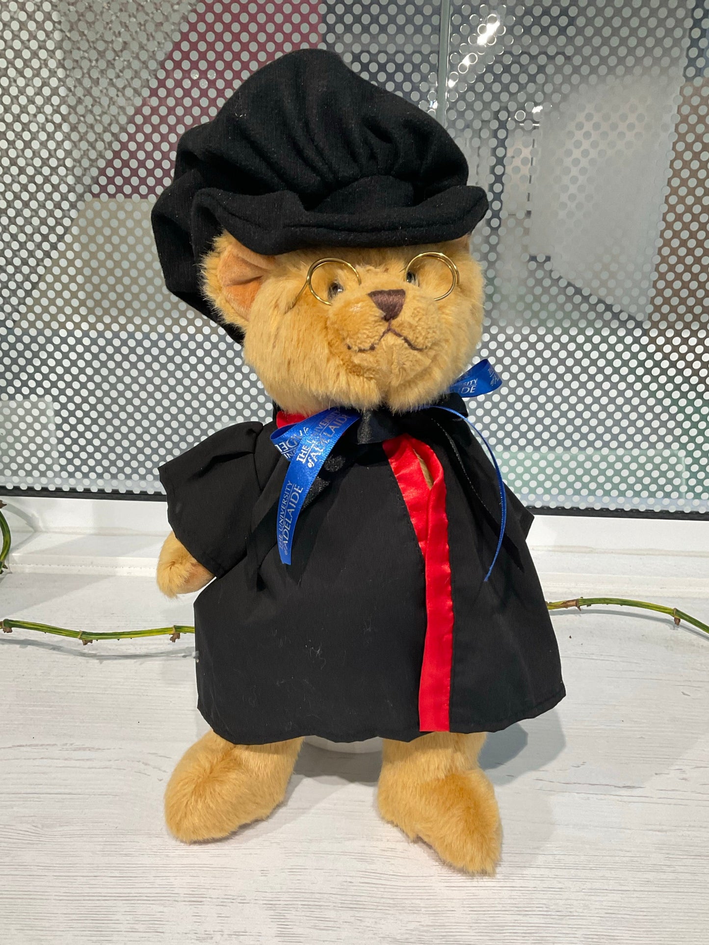 Roma PhD Graduation Bear