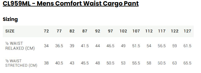 Navy Cargo Pant- Men's fit