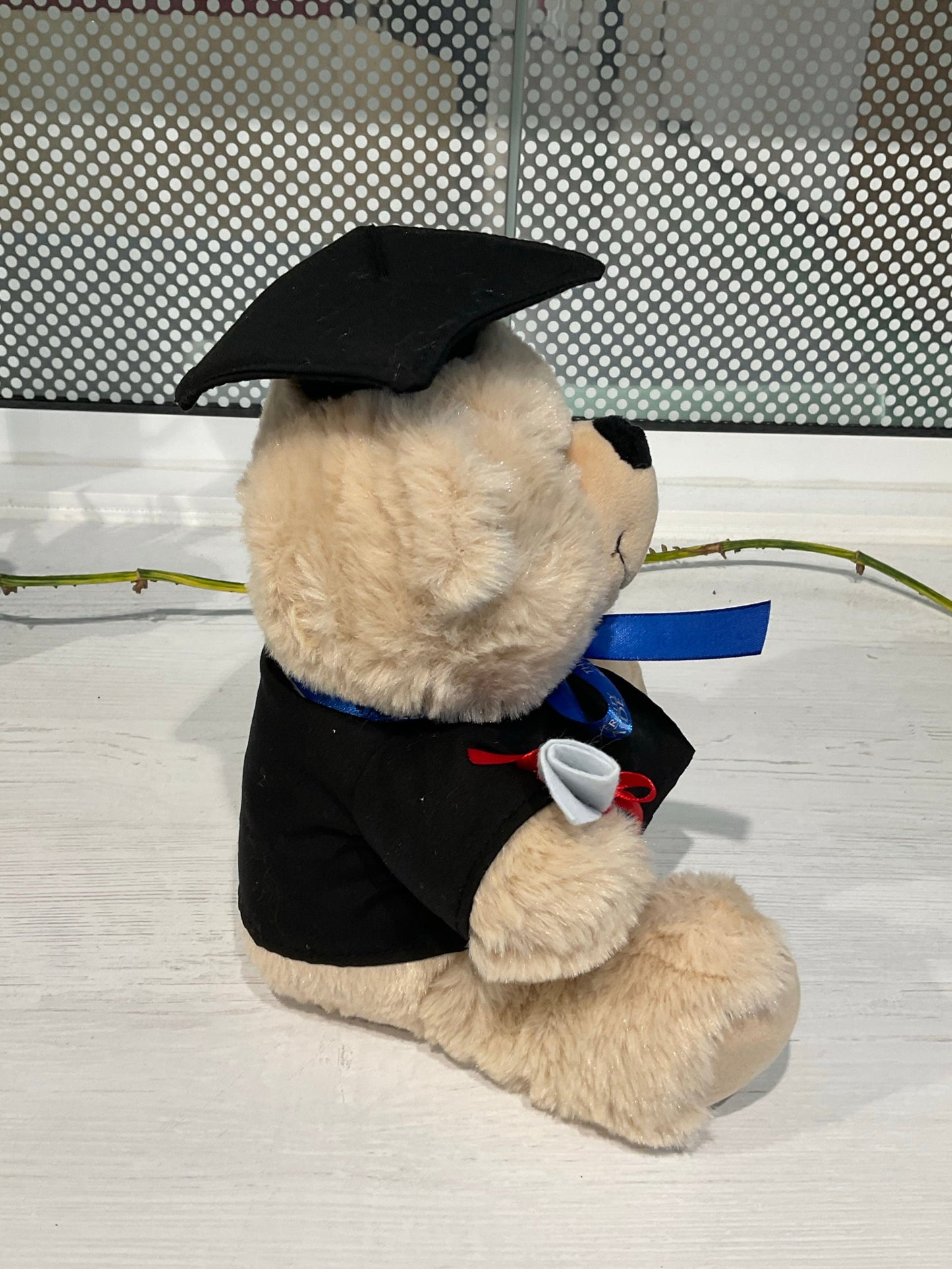 Theo 2025 Graduation Bear