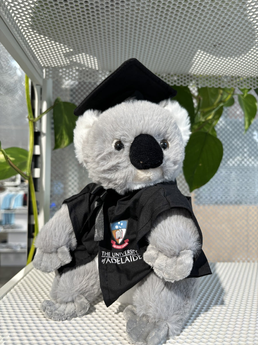 UofA Adrian Graduation Koala 22cm