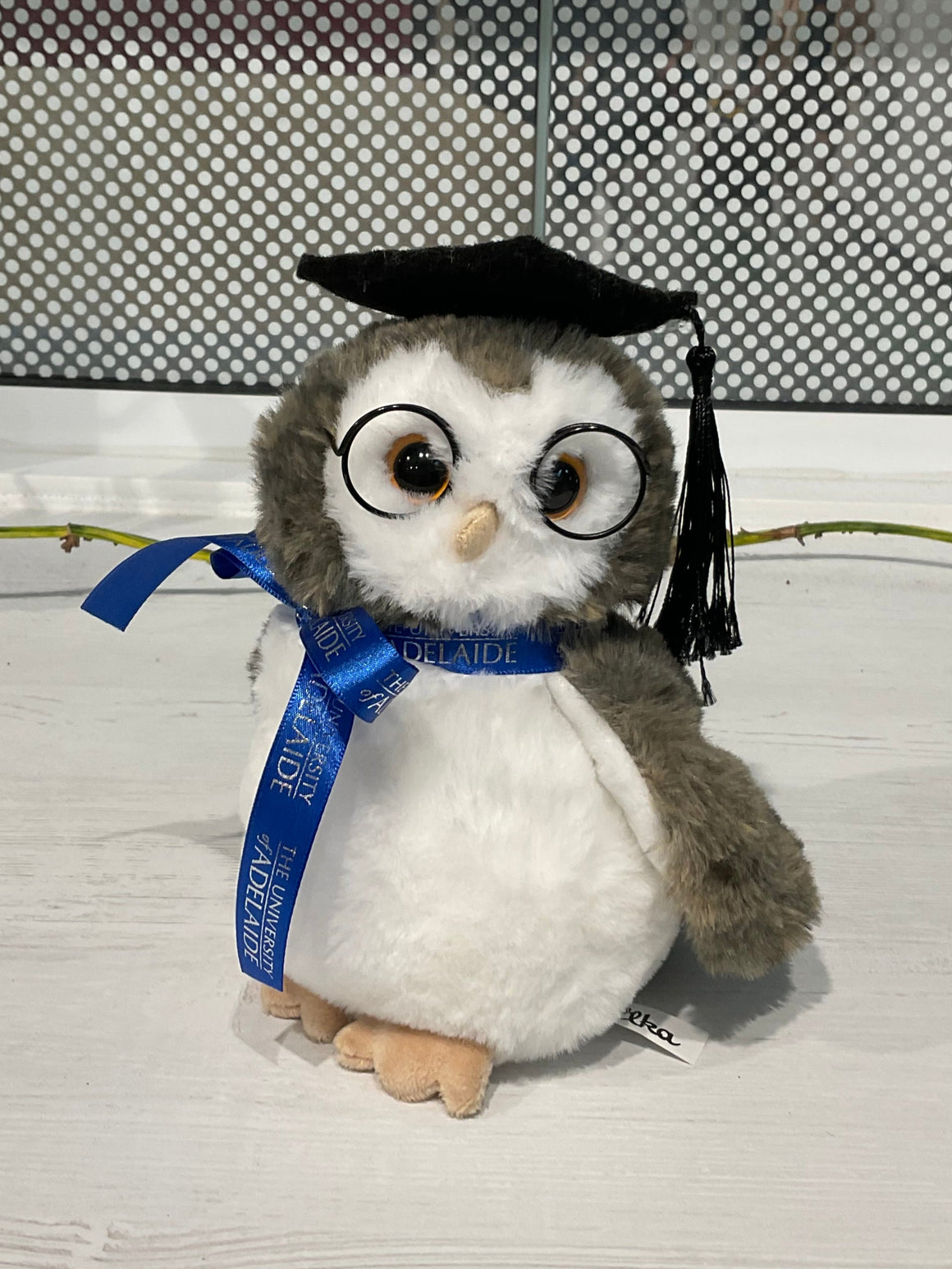 Hoot Graduation Owl
