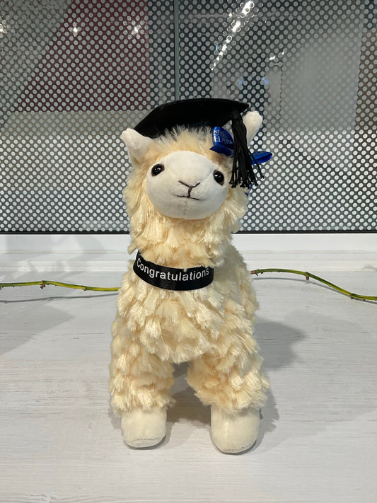 Lenny Graduation Llama
