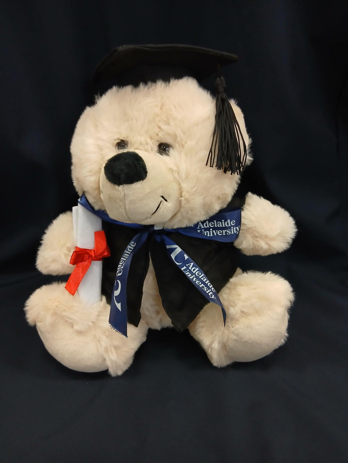 Benny Graduation Bear