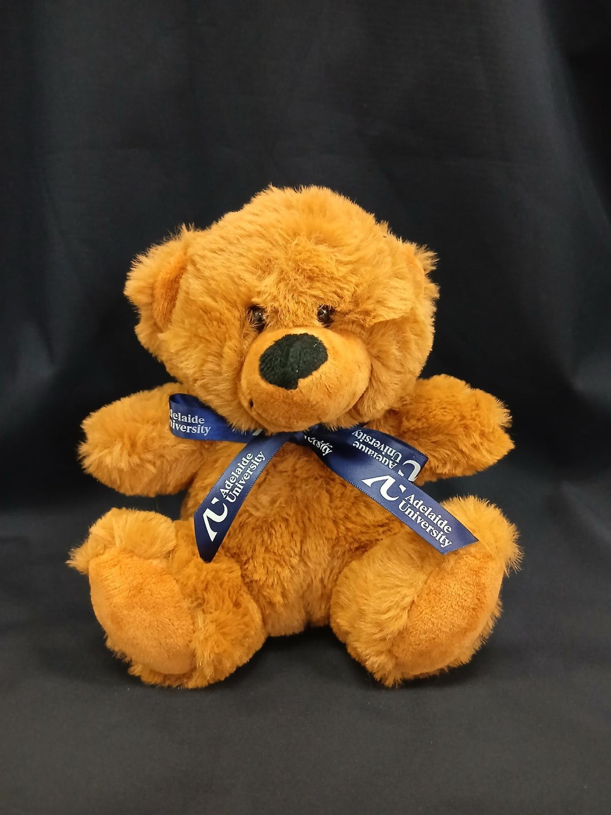 Oli Bear 18cm