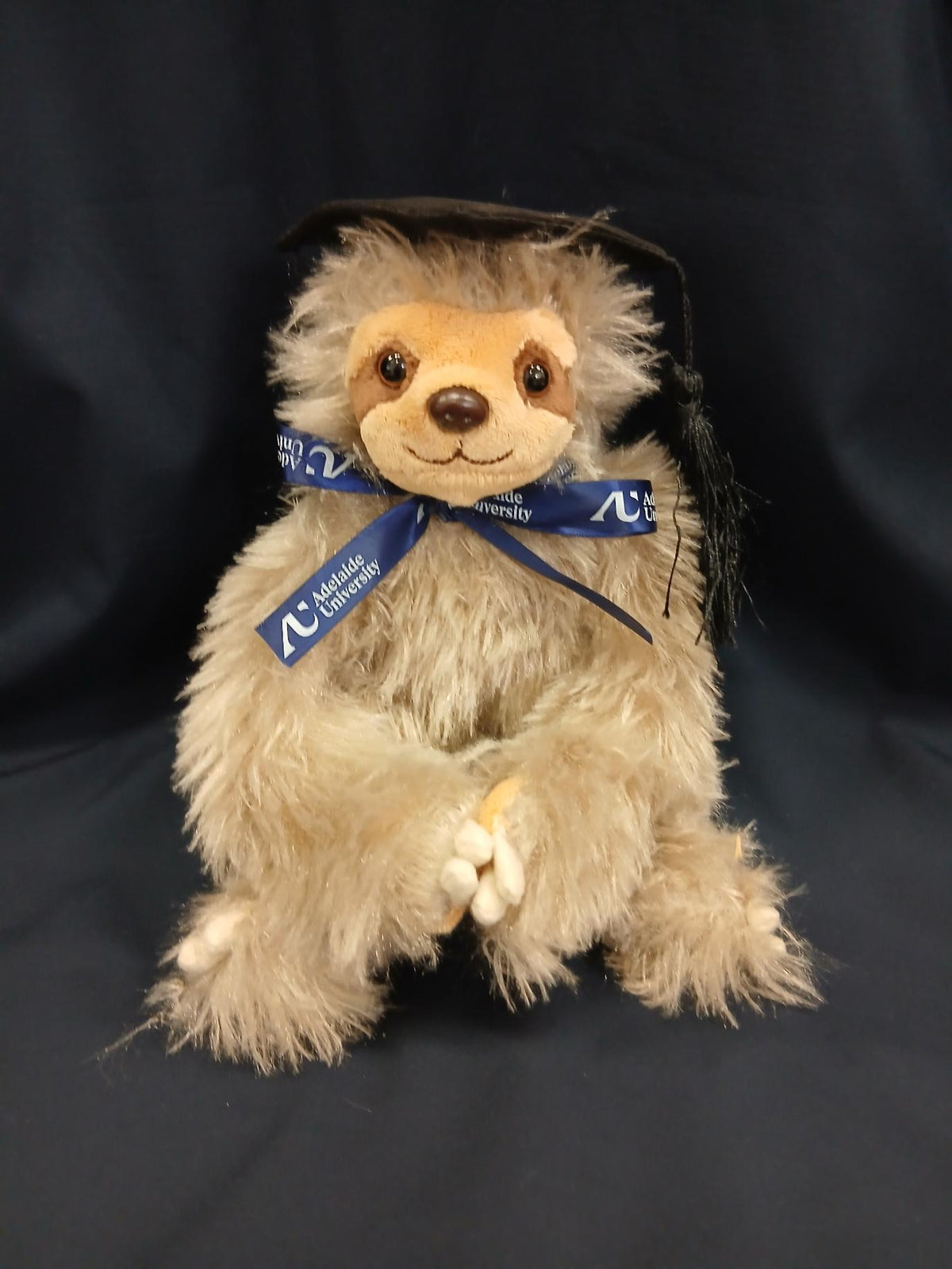 Sophia Graduation Sloth