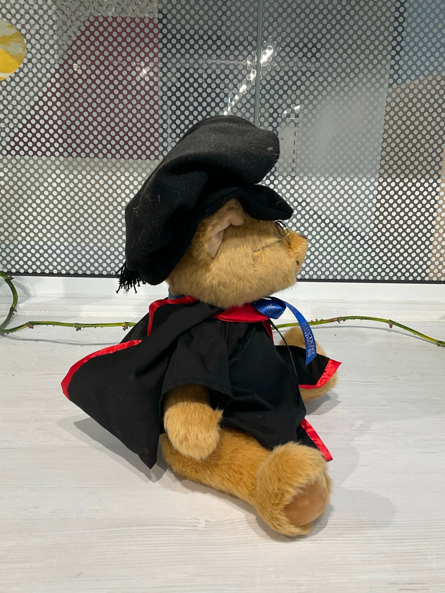 Roma PhD Graduation Bear