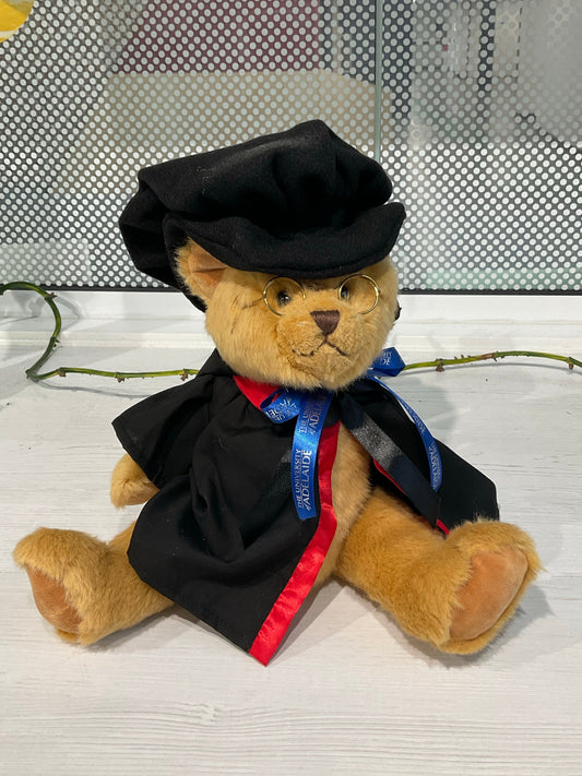 Roma PhD Graduation Bear