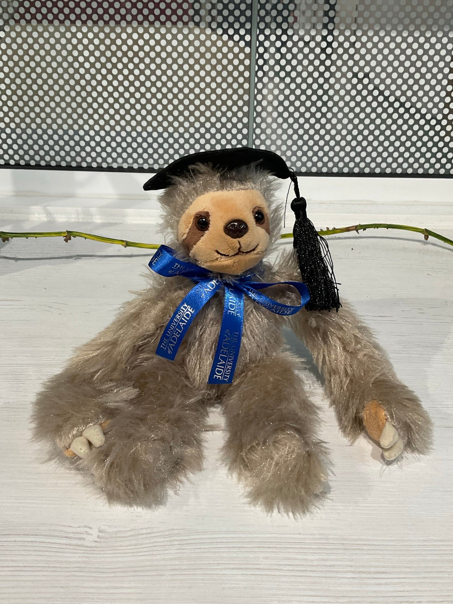 Sophia Graduation Sloth