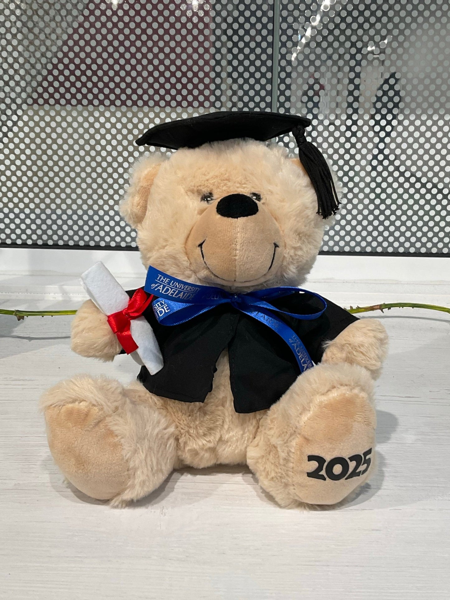 Theo 2025 Graduation Bear