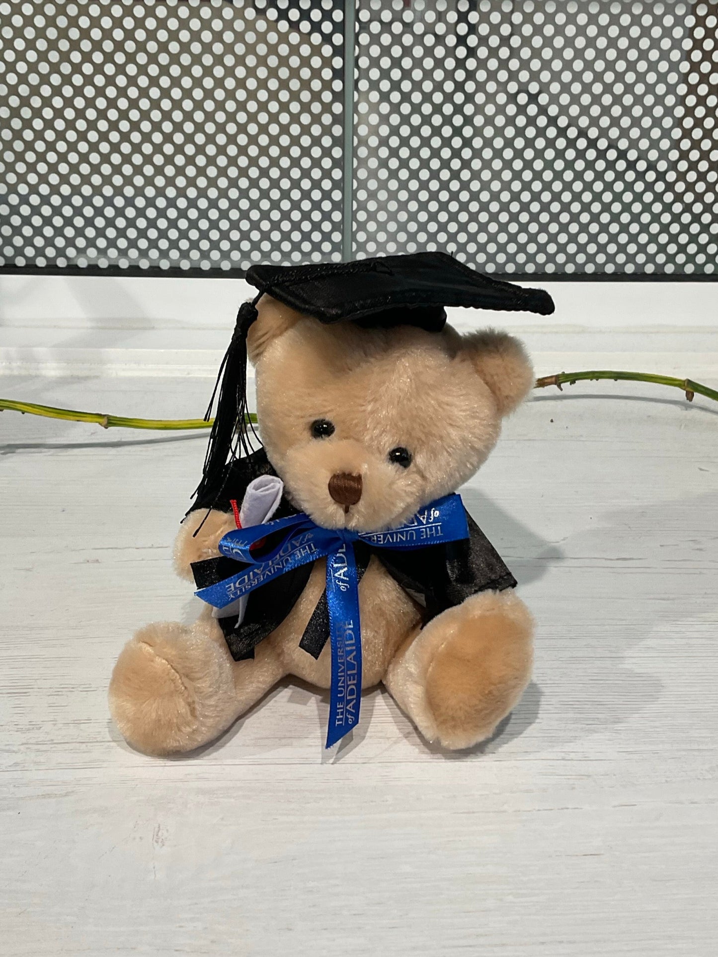Tom Bear 16cm