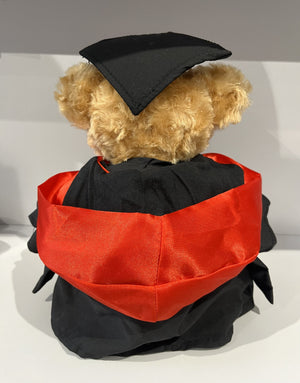 Graduation Bear Coloured Hood